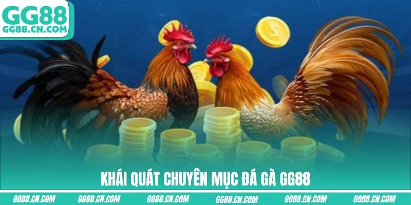 Khái quát chuyên mục đá gà GG88 Khái quát chuyên mục đá gà GG88