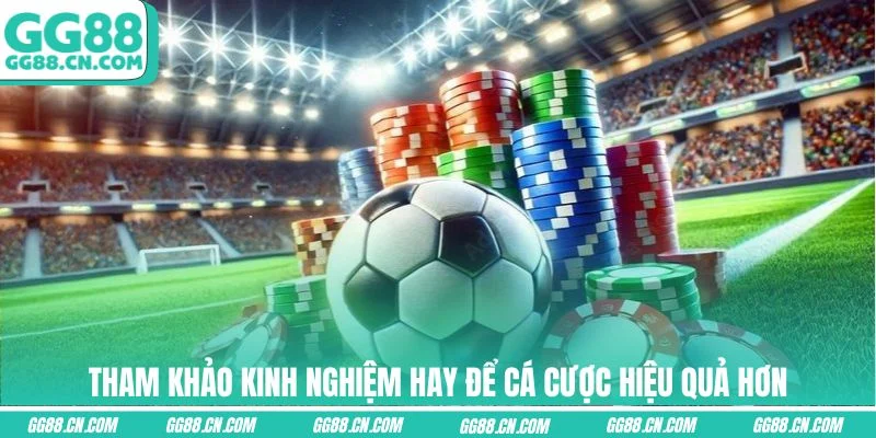 Tham khảo kinh nghiệm hay để cá cược hiệu quả hơn Tham khảo kinh nghiệm hay để cá cược hiệu quả hơn